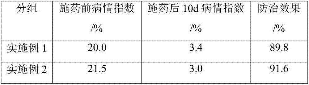 Botanical pesticide for treating anthracnose and application of botanical pesticide