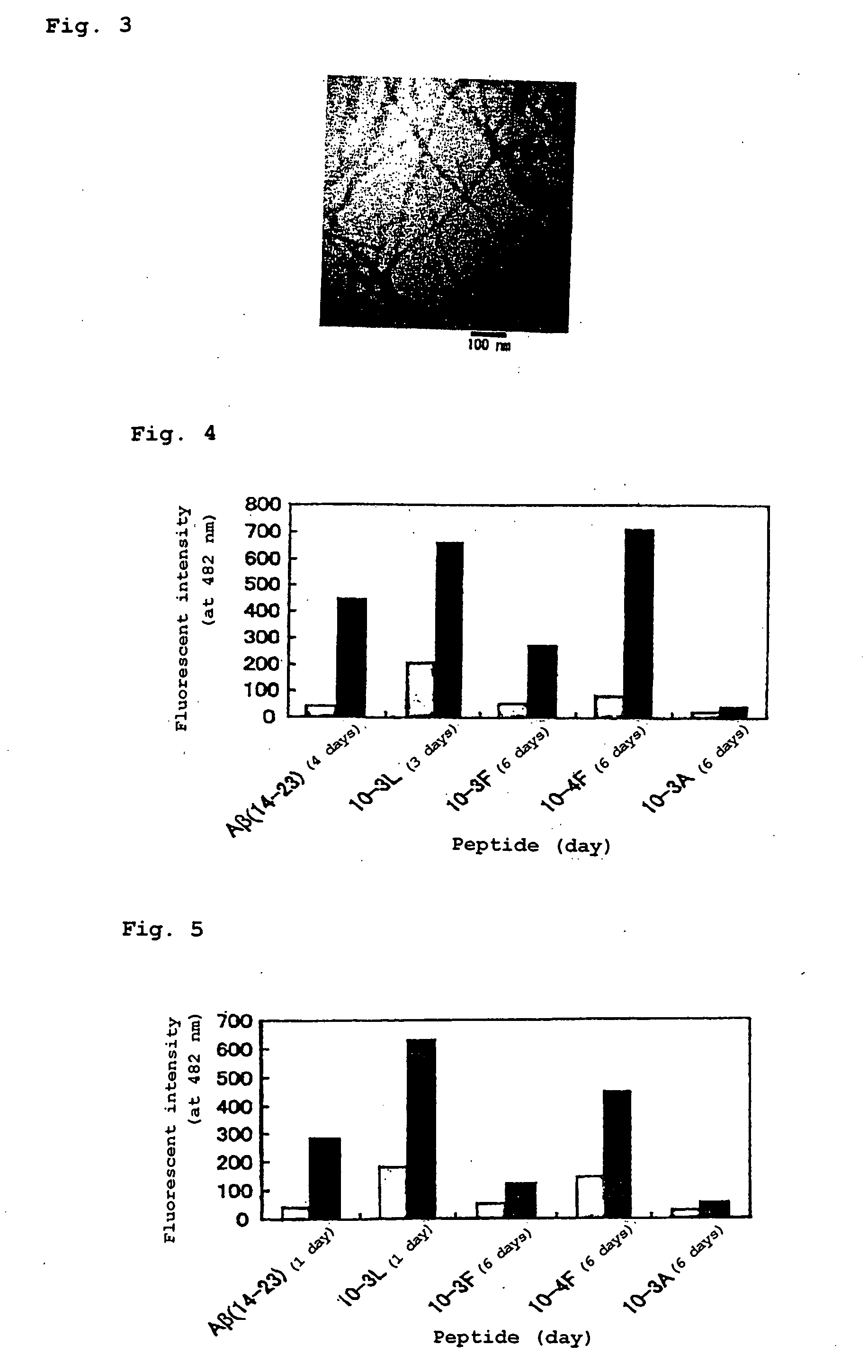 Reagent for amplifying amyloid fibrosis of amyloid ss-protein