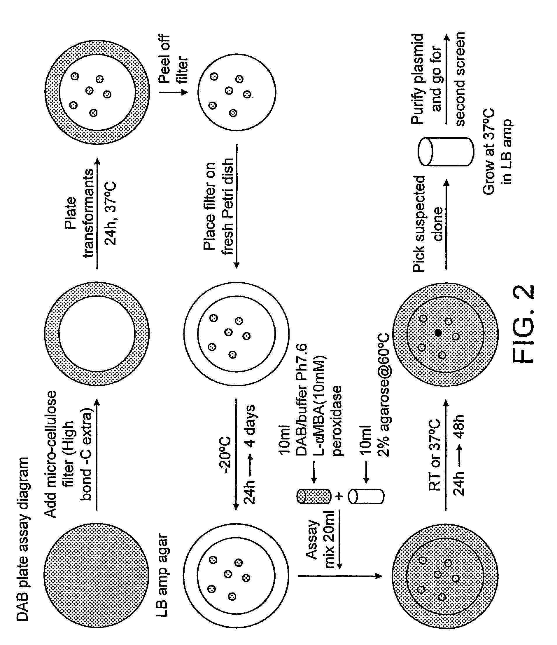 Deracemisation of amines