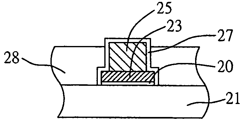 Electrical connector structure of circuit board and method for fabricating the same