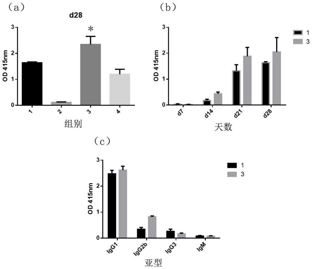 Chitosan nano-selenium particles, preparation method thereof and application of chitosan nano-selenium particles in vaccines