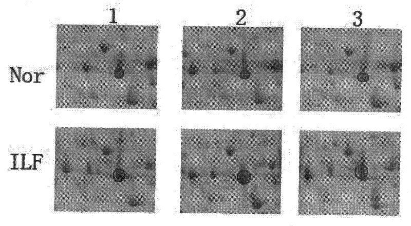 Application of nadh dehydrogenase flavoprotein 2 in the preparation and detection of drugs