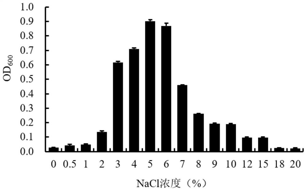 A kind of sea bacillus with denitrification function and its application