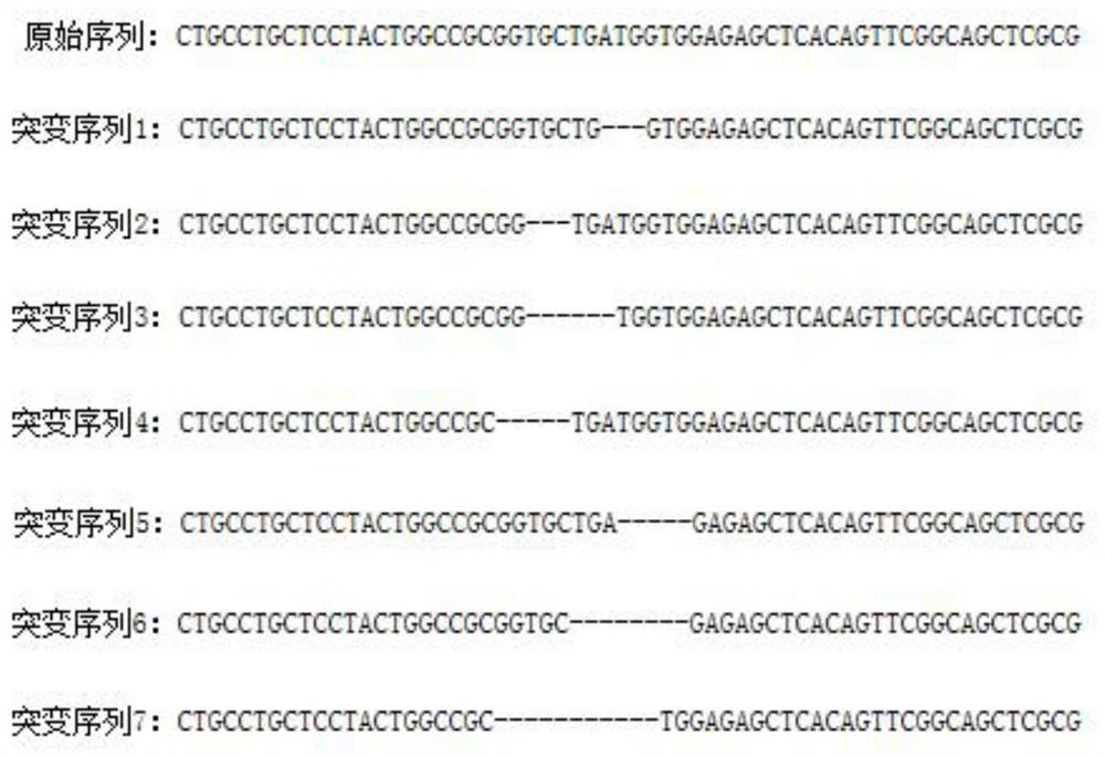 A kind of crispr/cas gene editing system and its preparation method and application