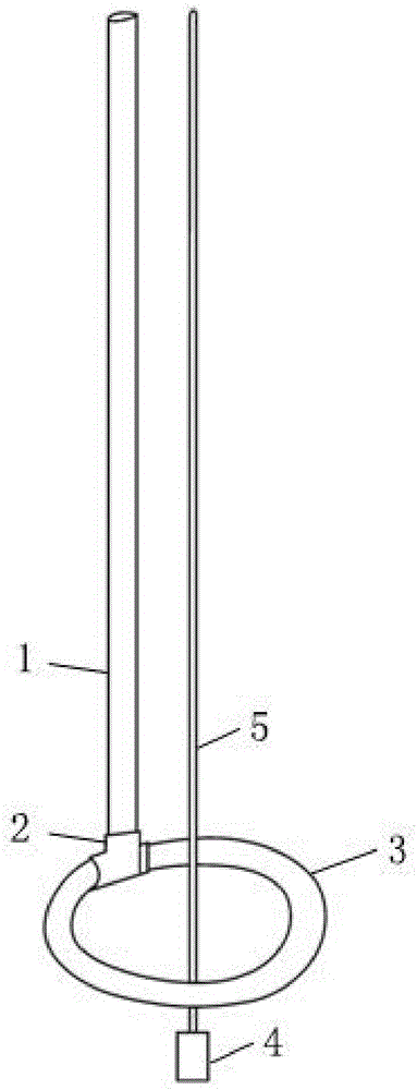 Nanometer air inflation device used for incubation of Eubranchipus vernalis eggs