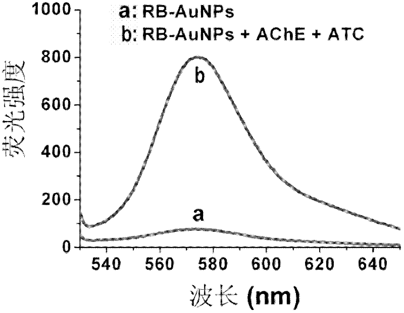 Reagents for detecting AChE (acetylcholinesterase) and preparation method thereof