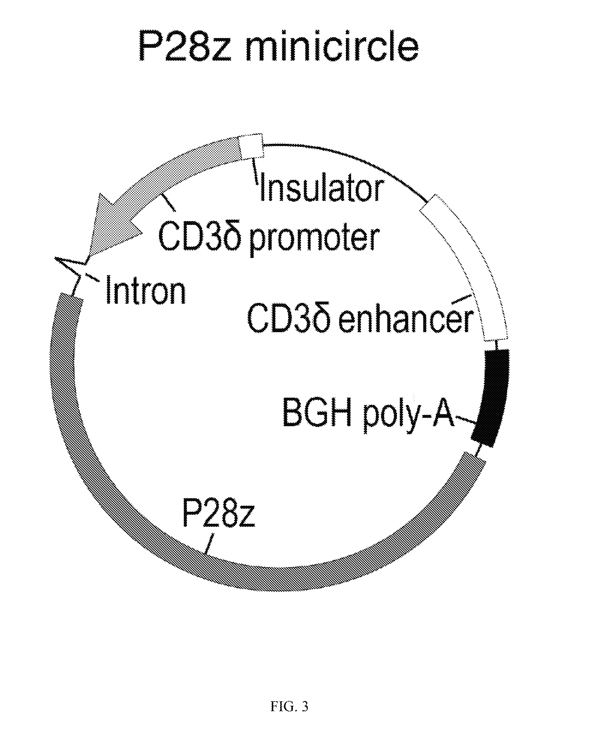 Compositions and methods to modify cells for therapeutic objectives