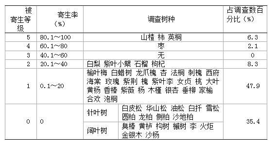 Artificial feed for Zeuzera leuconotum and preparation method of the feed