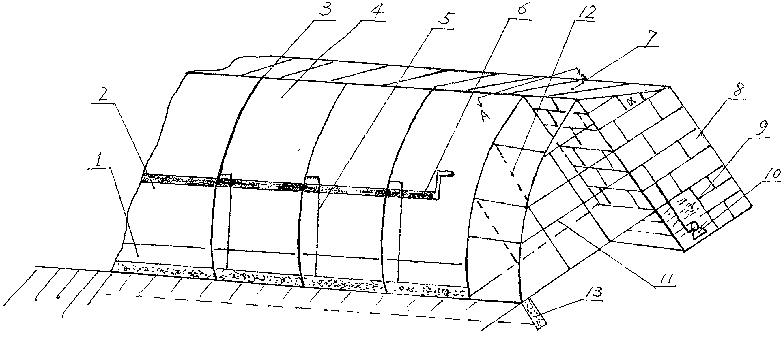 One-wall energy-saving sunlight greenhouse