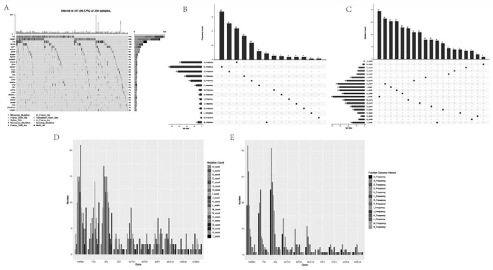 Potential antigen obviously related to prognosis of renal clear cell carcinoma, immune subtype and construction method and application of potential antigen and immune subtype