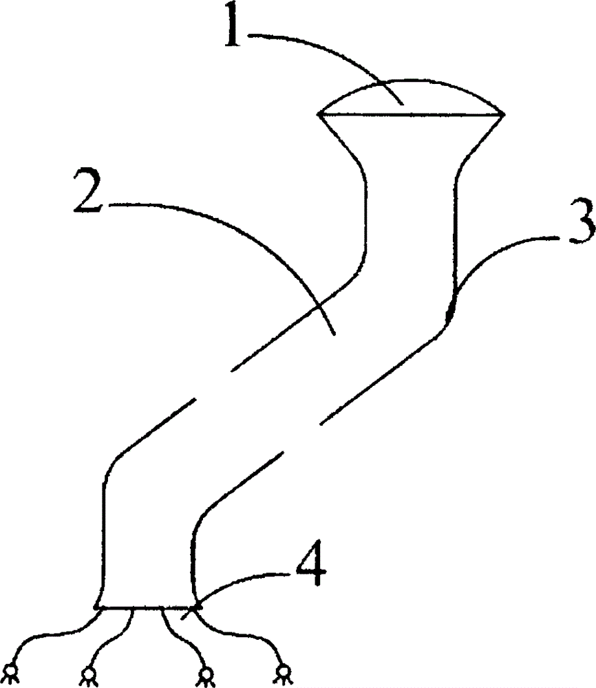 Adjustable sunlight illumination system