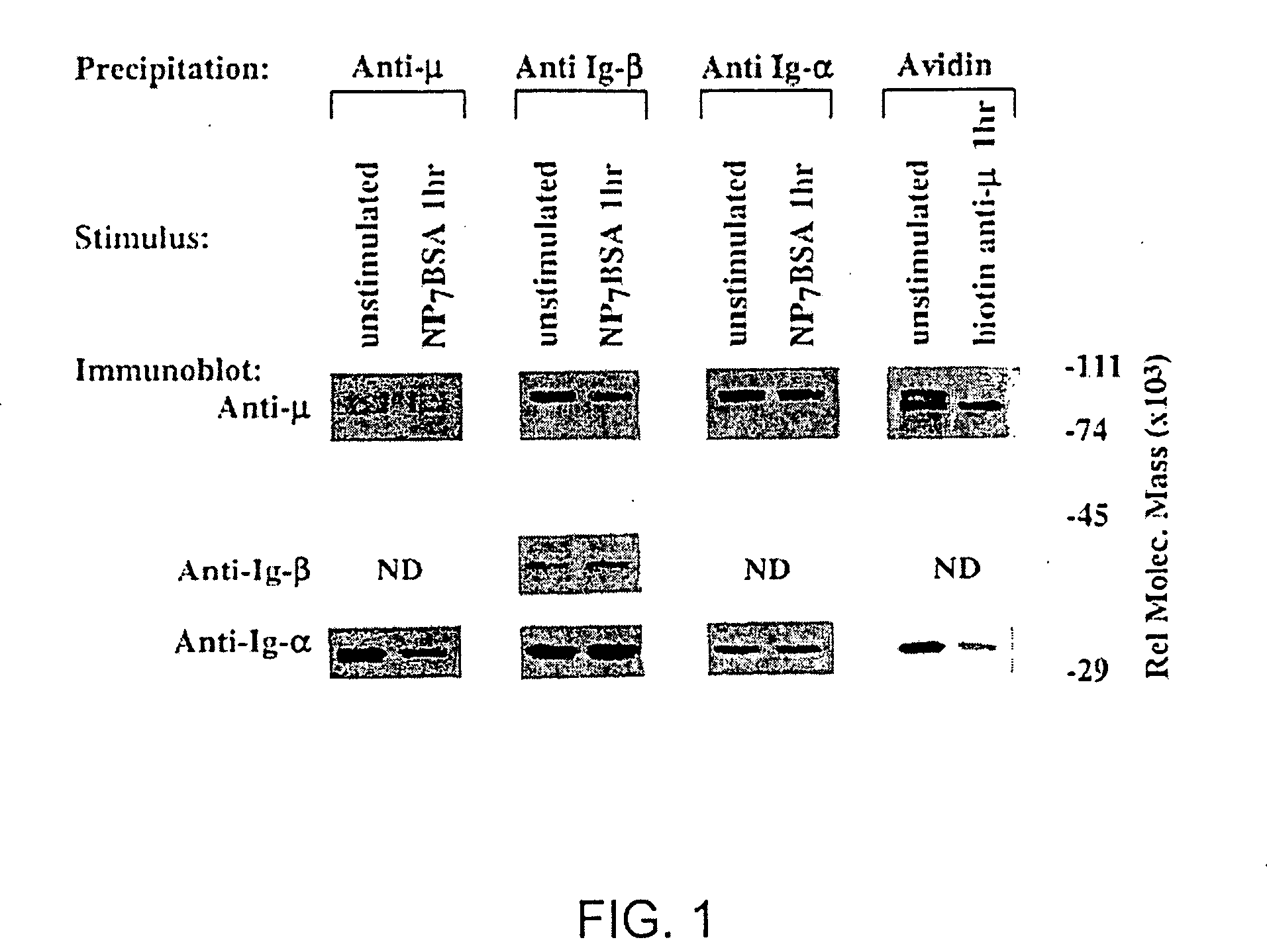 Product and method for treatment of conditions associated with receptor-desensitization