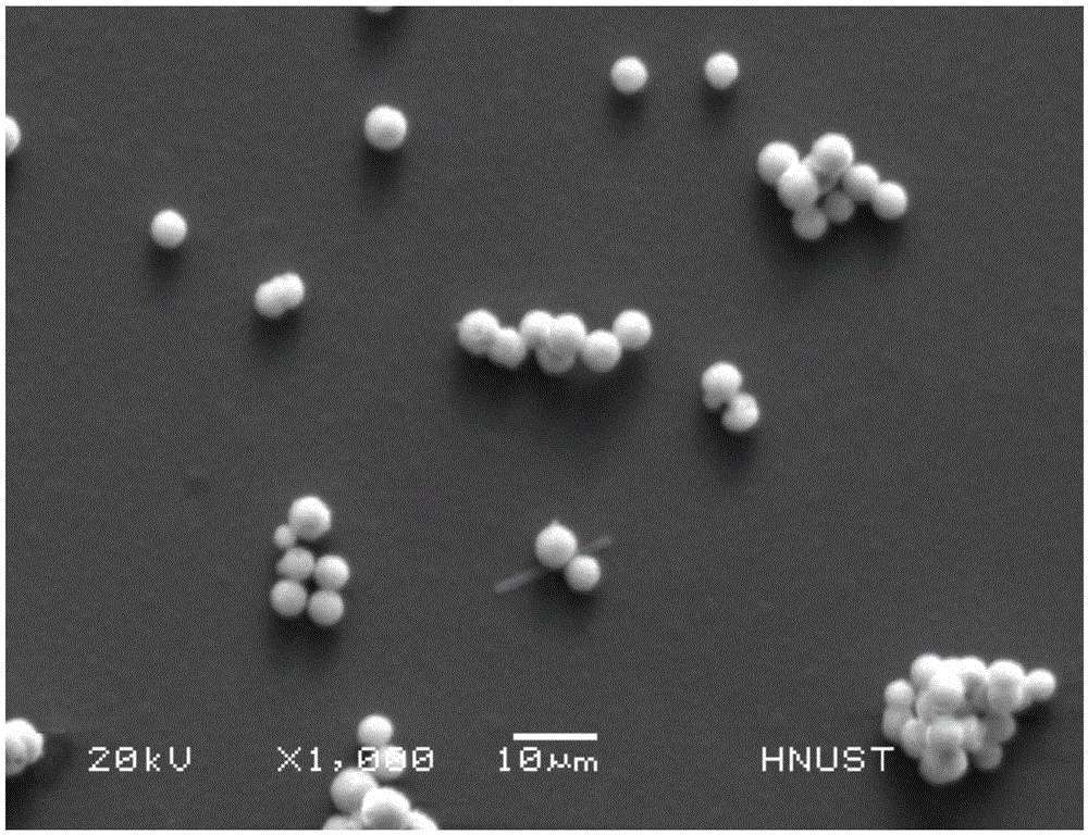 Preparation method of leucite