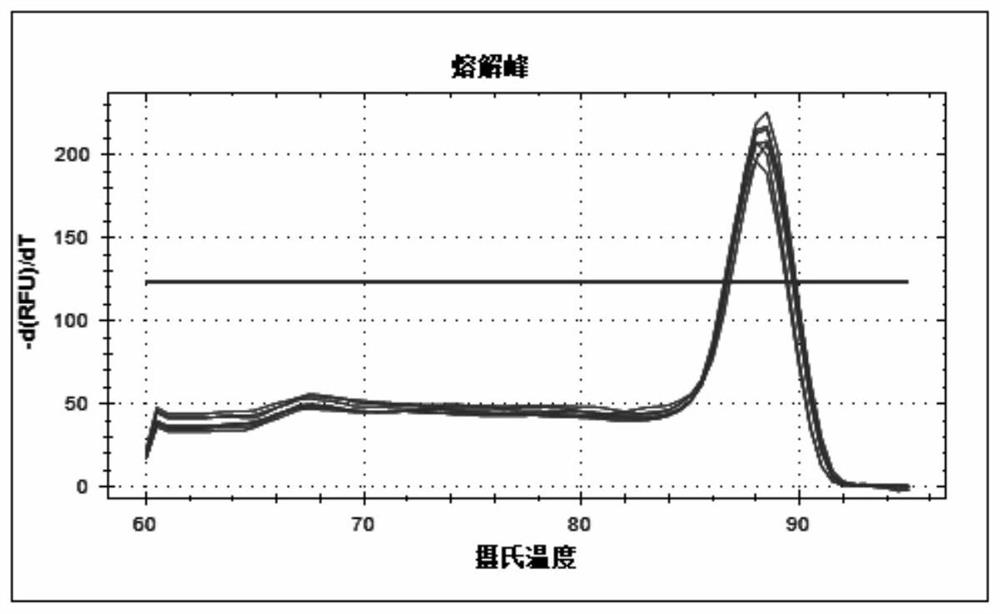 RT-qPCR detection method of abcg2 gene transcription level in macaques