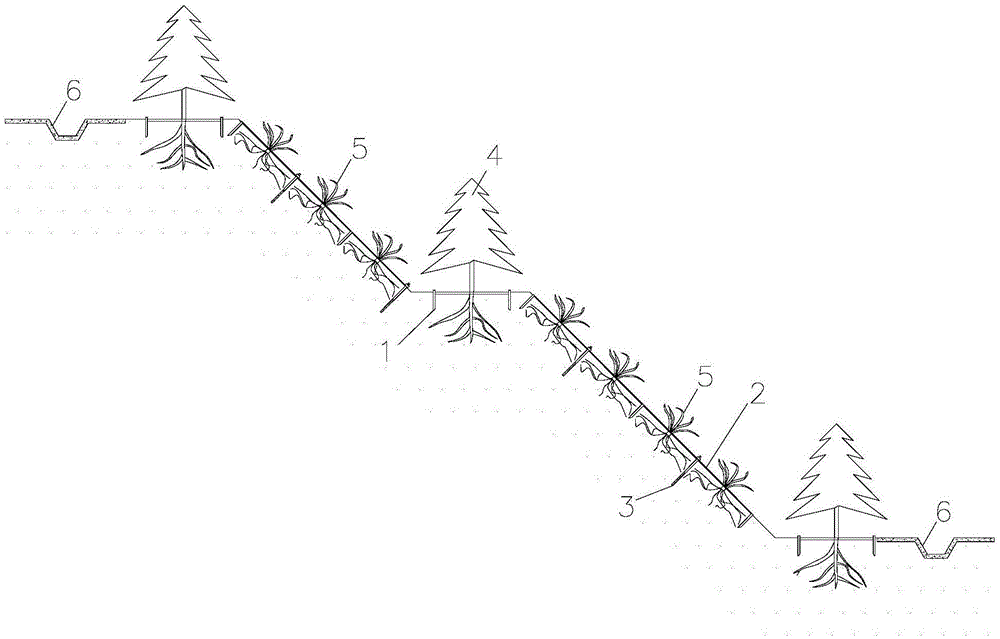 Loess slope vegetation planting guarantee PVC board structure system and construction method thereof