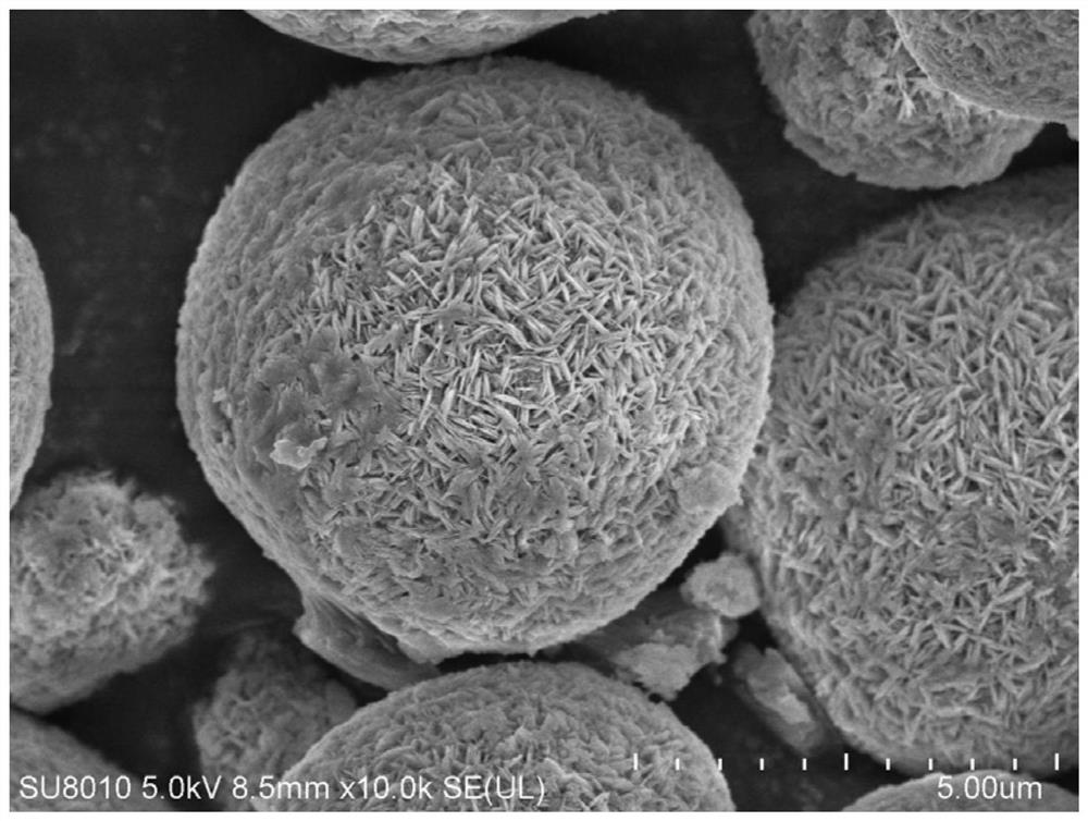 Preparation method and application of precursor of aluminum and zirconium doped lithium nickelate positive electrode material