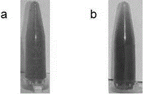 Flower-like gold palladium heterogeneous nano particle with good electro-catalytic property and preparing method thereof