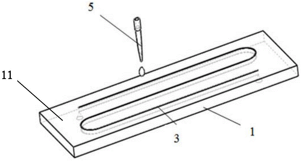 Detection device for micro-fluidic biologic chip and preparation method of detection device