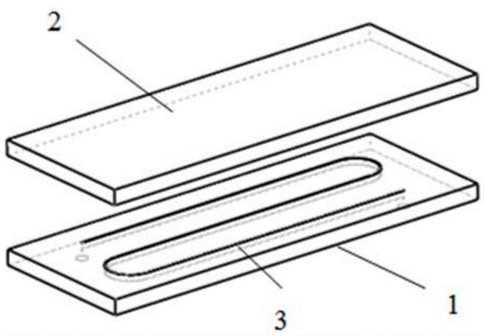 Detection device for micro-fluidic biologic chip and preparation method of detection device