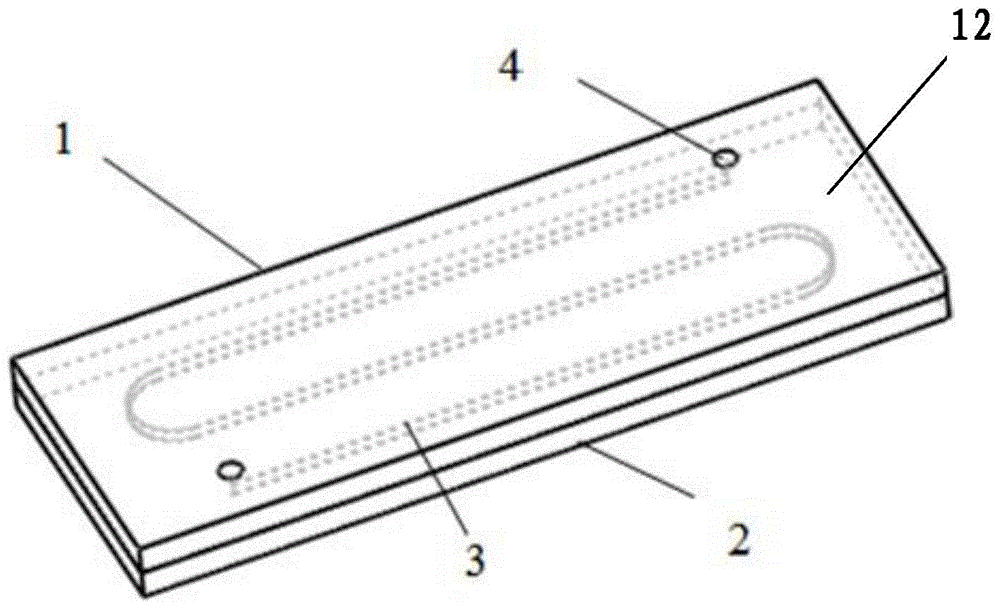 Detection device for micro-fluidic biologic chip and preparation method of detection device