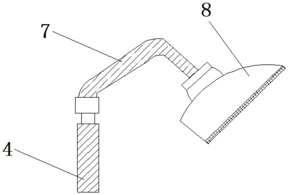 Spraying device used in scanning probe production system