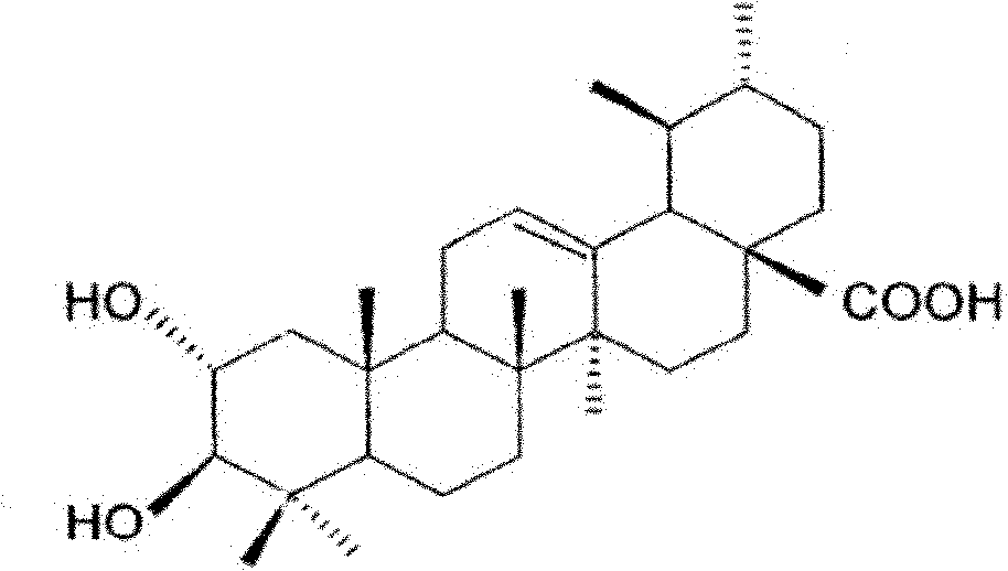 Method for extracting corosolic acid from loguat leaf