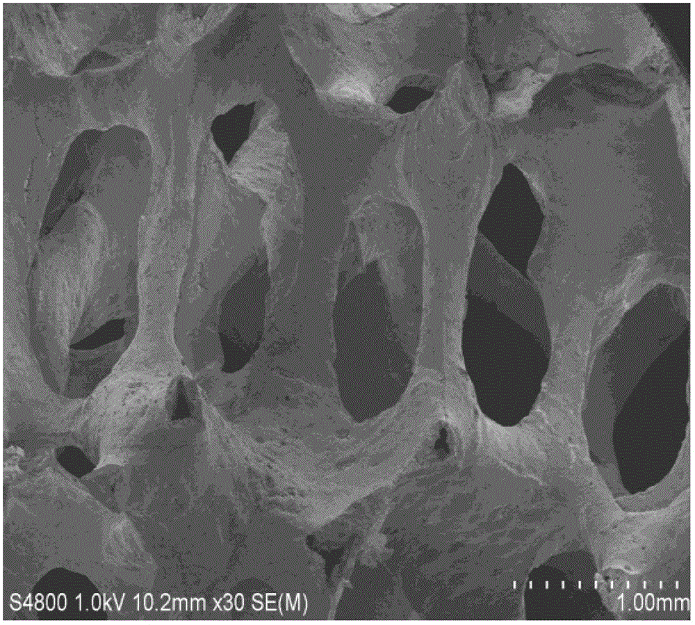 Process for preparing TiO2 (titanium dioxide) film on aluminum-oxide foamed ceramic