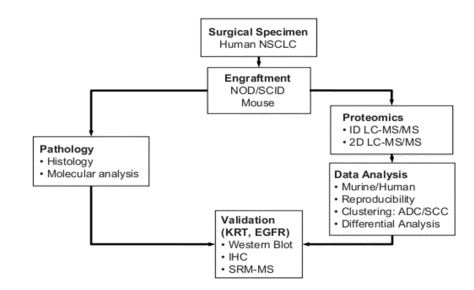 Methods and compositions for the classification of non-small cell lung carcinoma