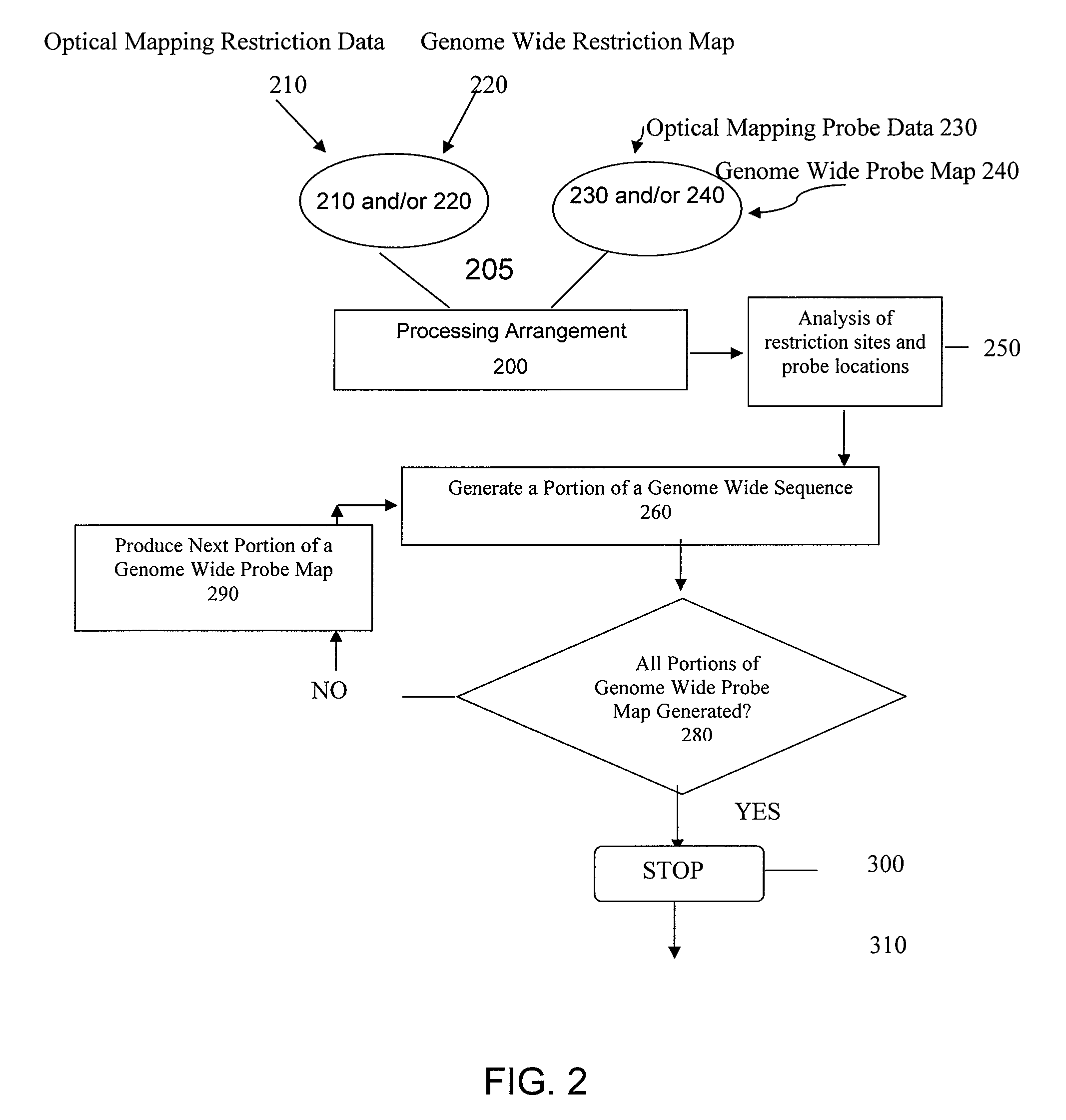 Methods, computer-accessible medium, and systems for generating a genome wide haplotype sequence