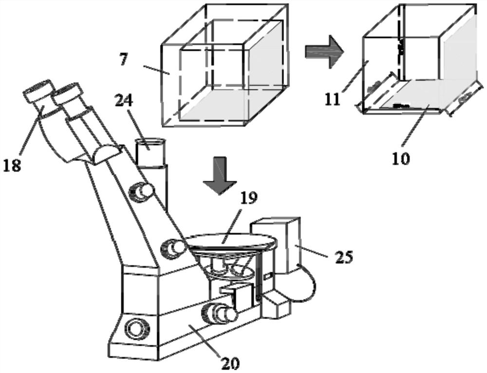 Visual liquid nitrogen freeze-thaw coal crack propagation dynamic monitoring system