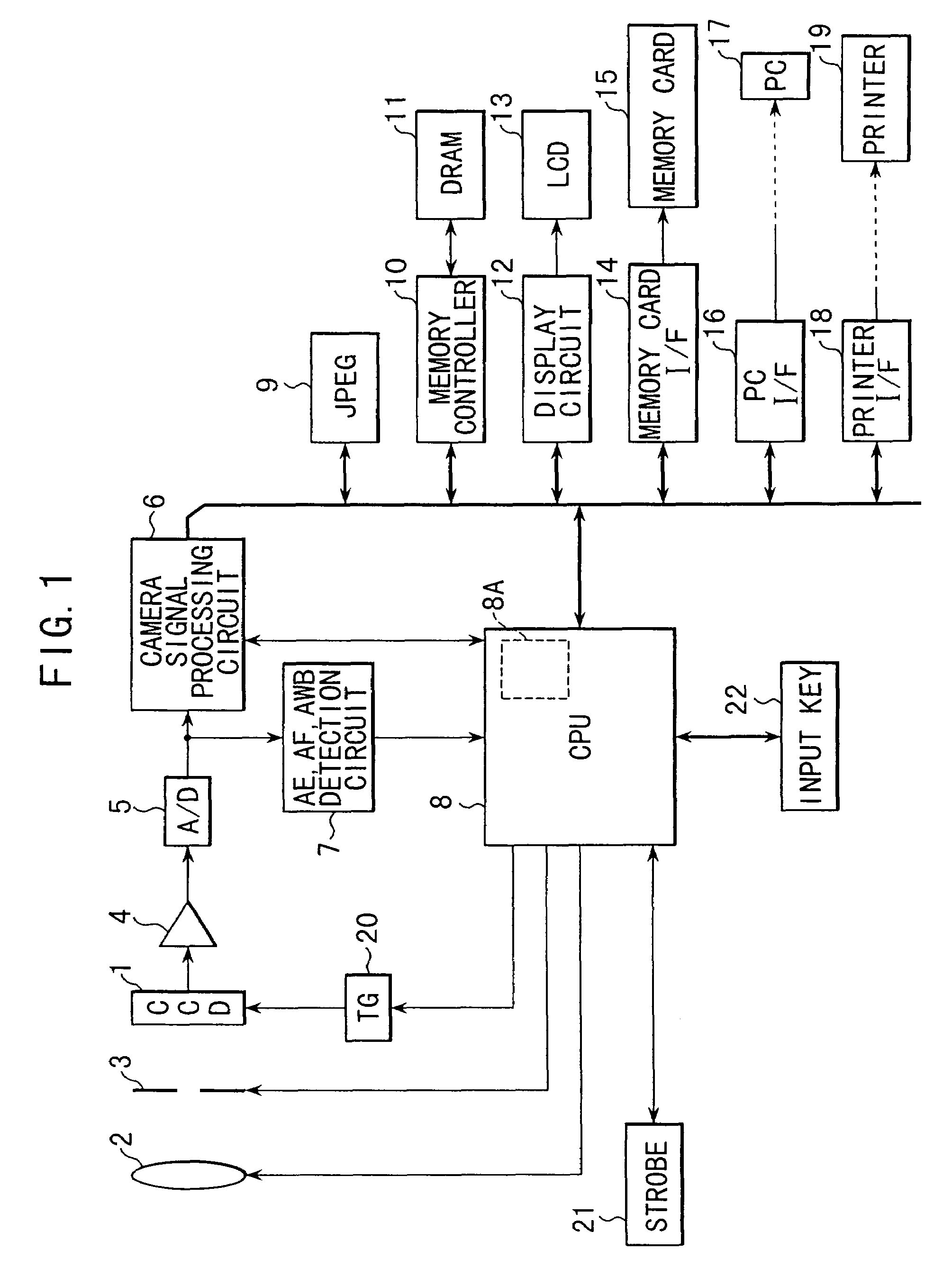 Punch, and rotary compression molding machine using the same