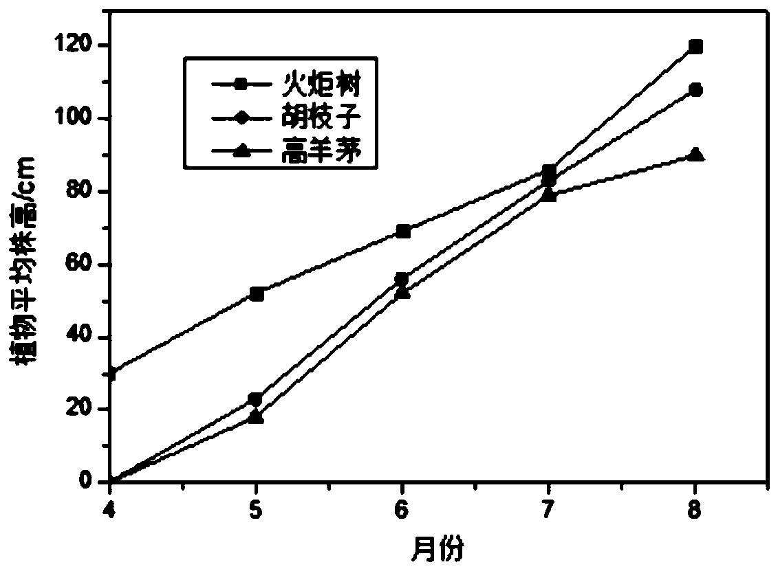 Method for in-situ ecological restoration of northern steel slag mountain heaped with waste steel slag in northern area