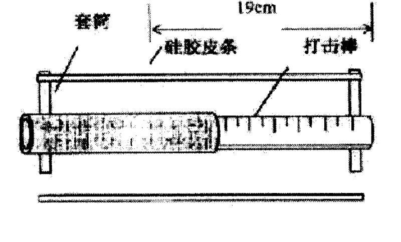 Application of pharmaceutical composition in preparing medicament for treating bone fracture