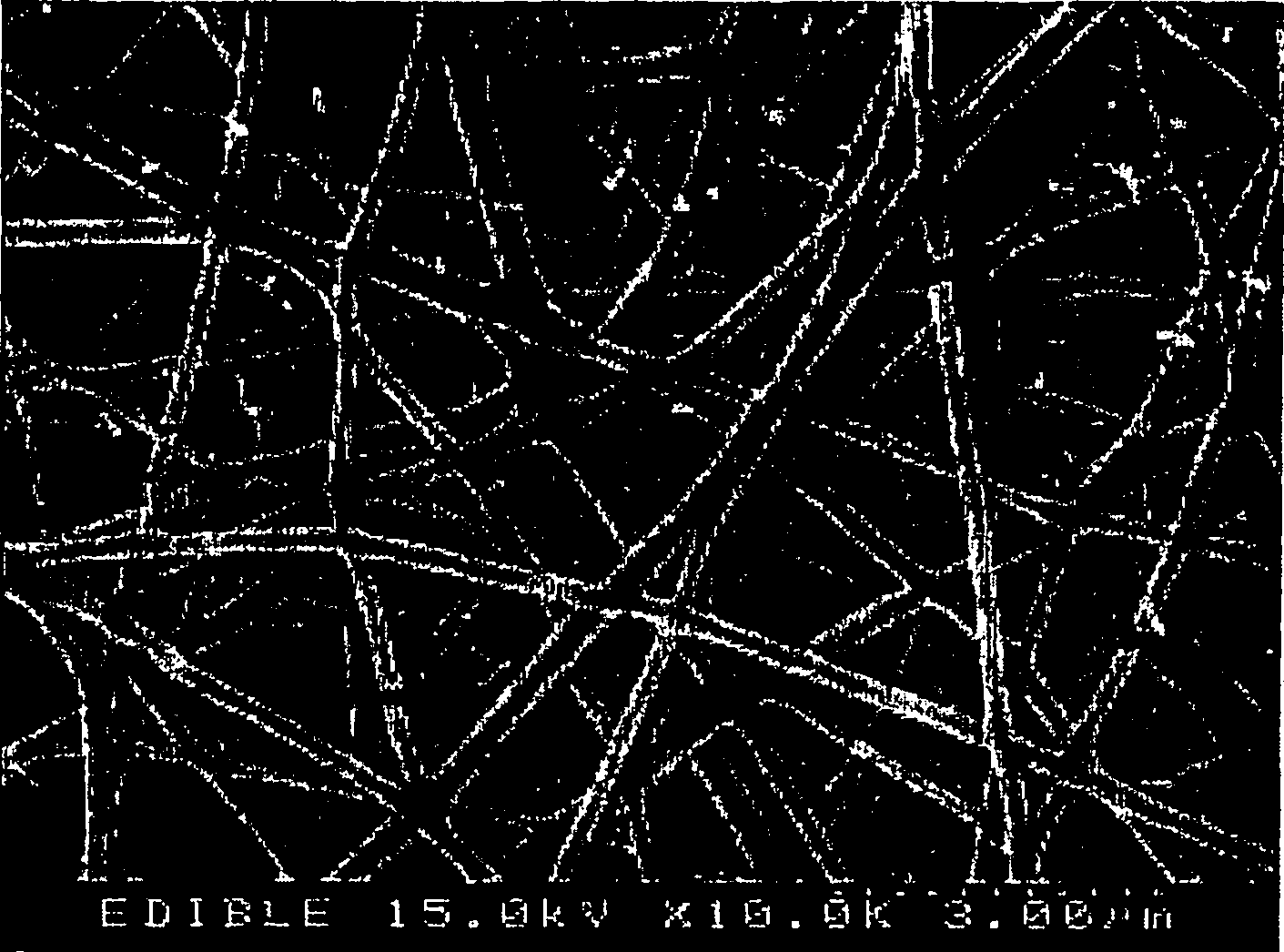 Dissolvable nano web porous film and method of preparing the same