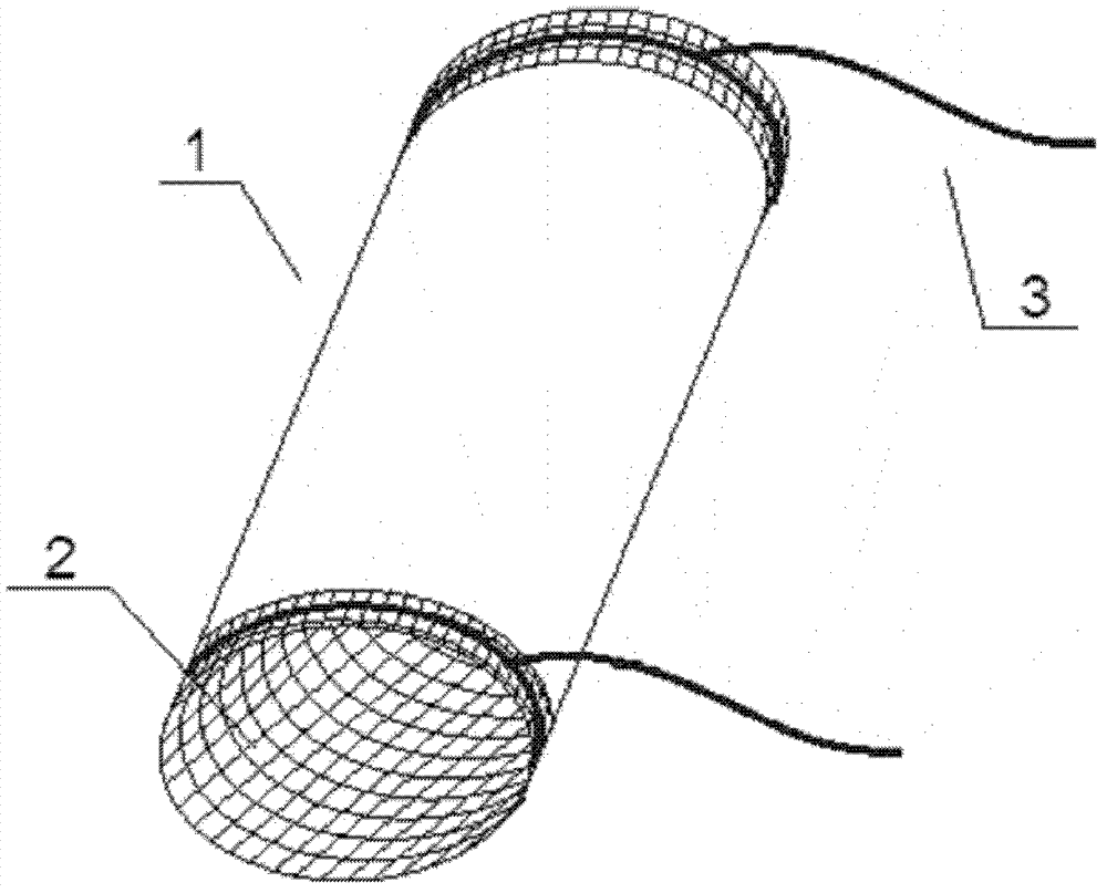 Large-scale artificial propagation method for odontobutis potamophila