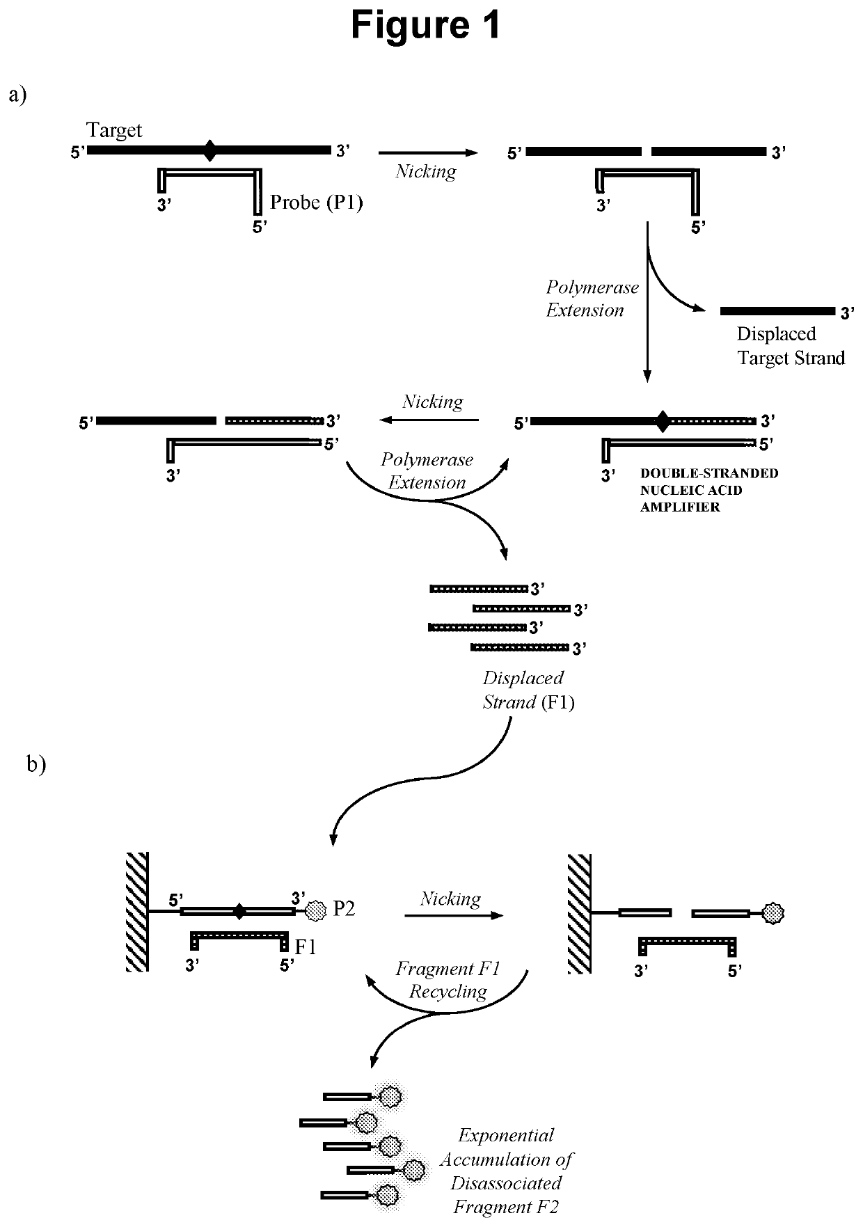 Nucleic acid detection method