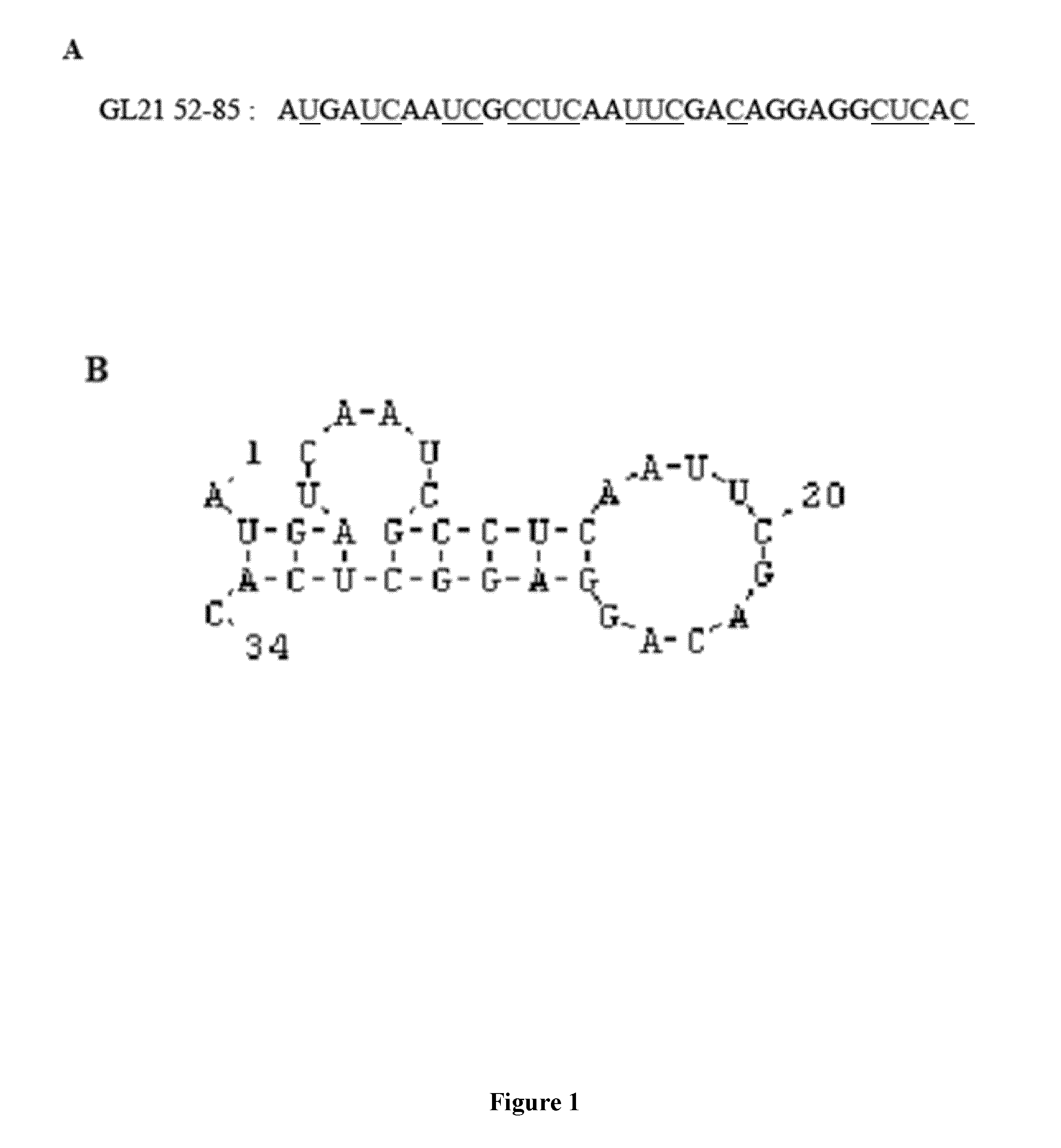 Axl receptor tyrosine kinase aptamer inhibitor for use in therapy