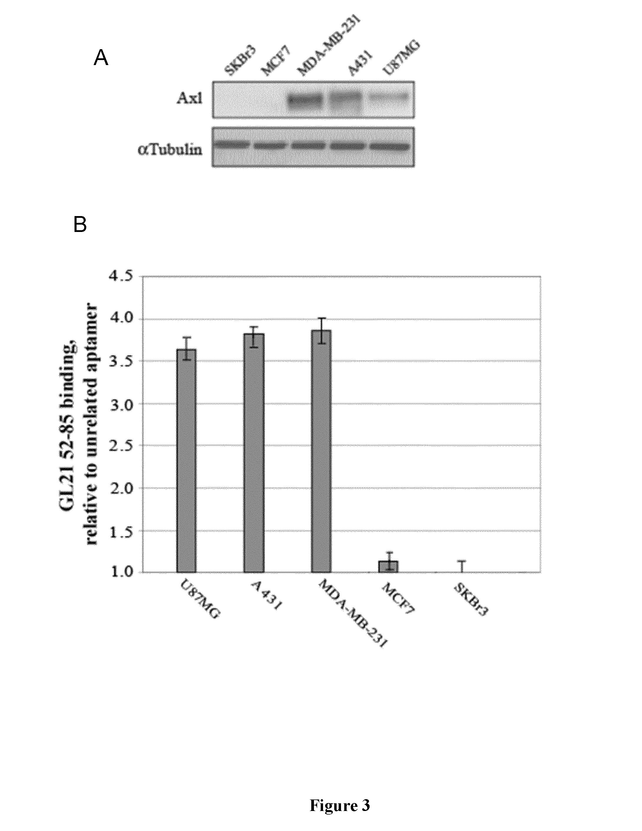 Axl receptor tyrosine kinase aptamer inhibitor for use in therapy