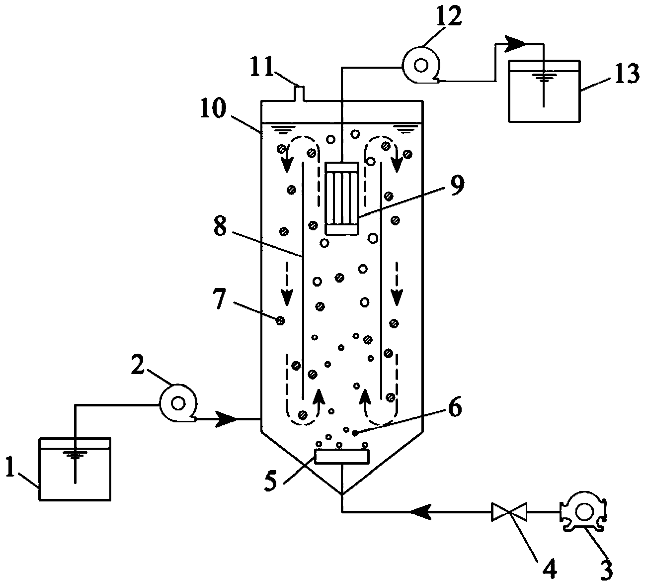 Intensifying sewage whole-course autotrophic nitrogen removal reactor and intensifying sewage whole-course autotrophic nitrogen removal method