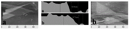 Graphene-ion exchange polymer electric actuator and its preparation method and application