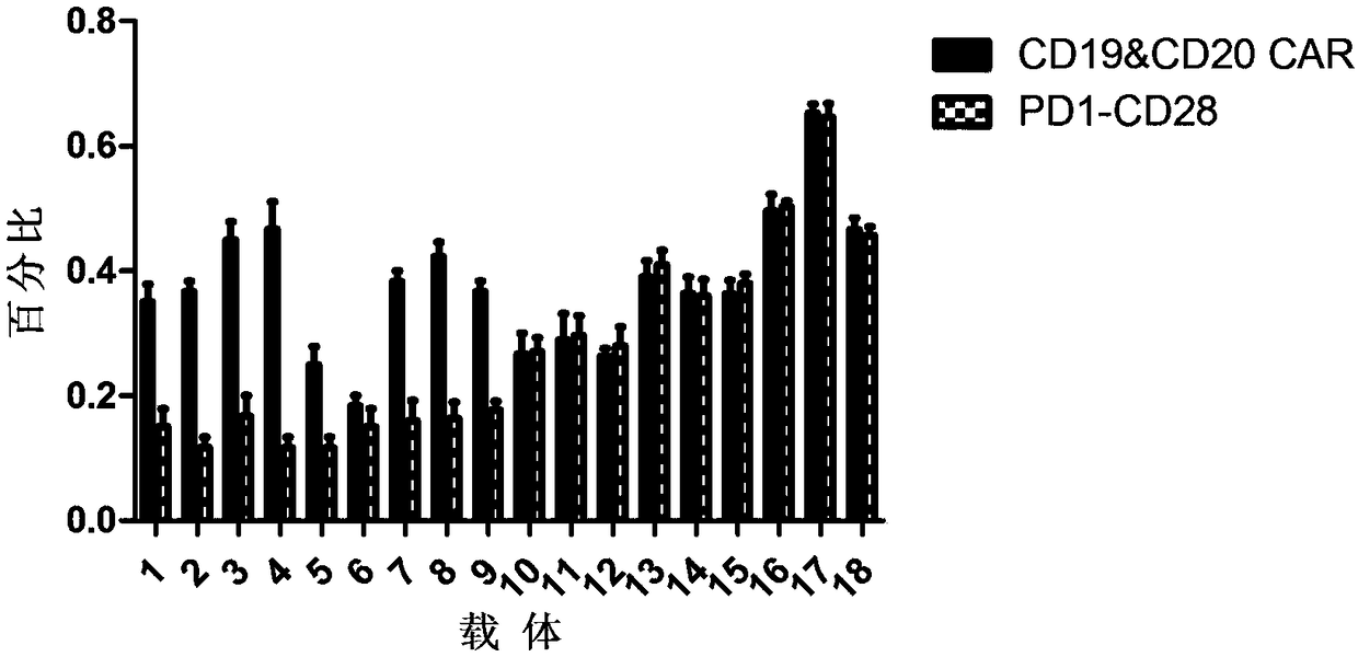 Lentiviral vector of CAR and PD1-CD28 chimeric receptor for simultaneous expression of targeted CD19 and CD20