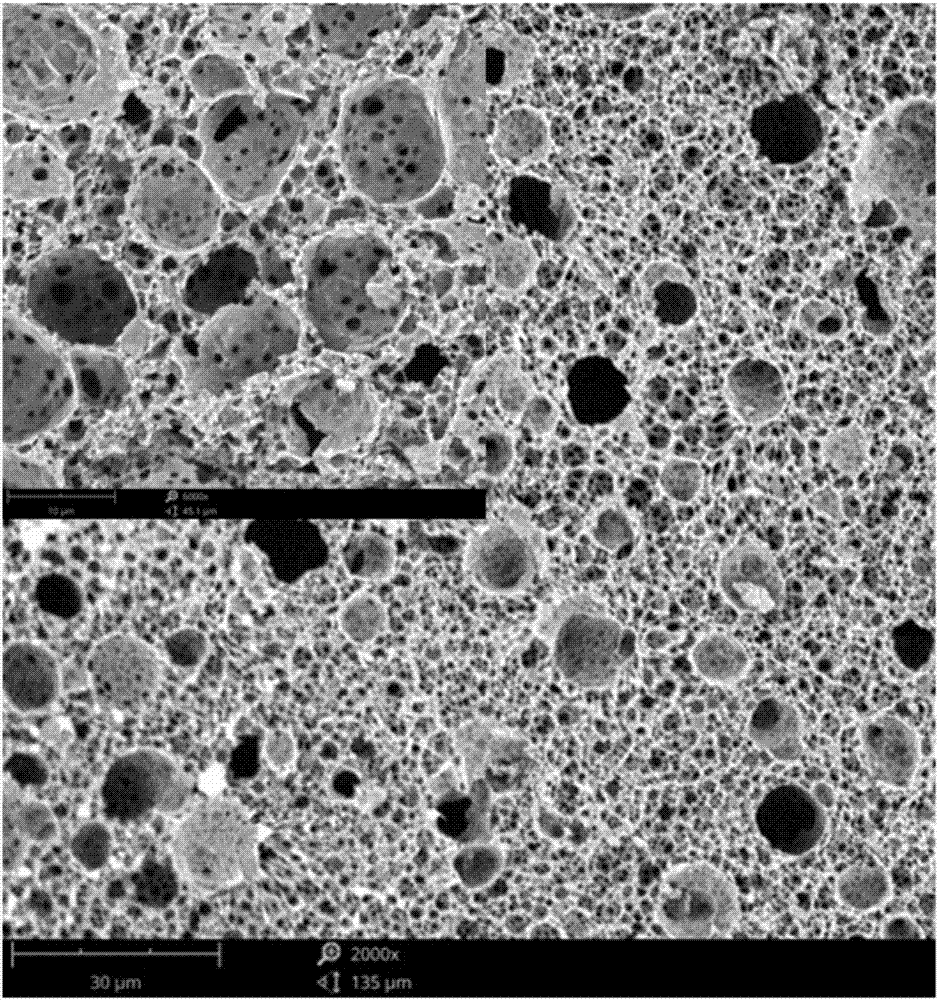 Pressure-sensitive polymer compound foam with multi-stage pore structure and preparation method thereof