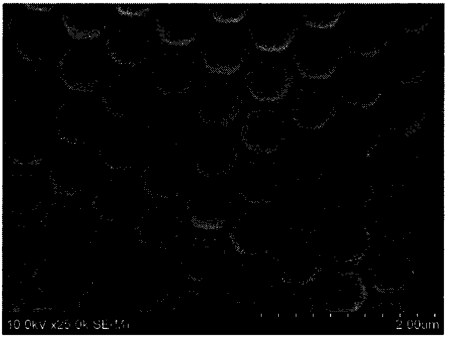 Photonic crystal nano-composite gel membrane with temperature/humidity dual responses and preparation method of photonic crystal nano-composite gel membrane