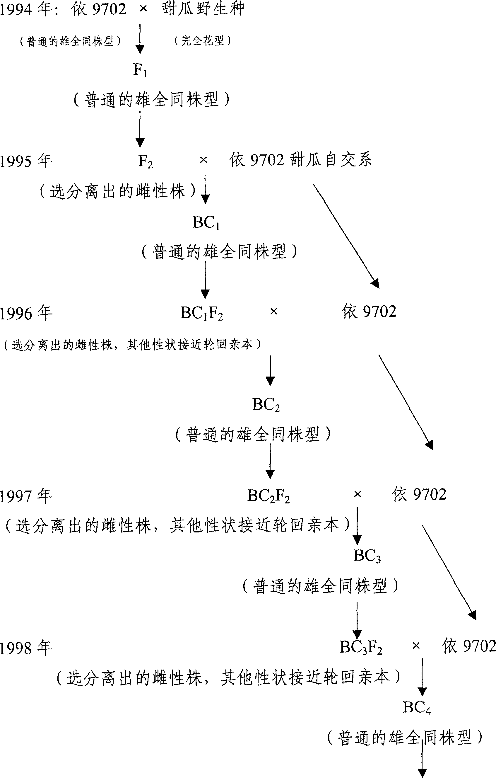 Method for producing muskmelon hybrid seed