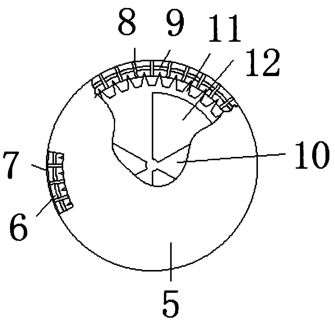 Charging hole for feed for live pigs