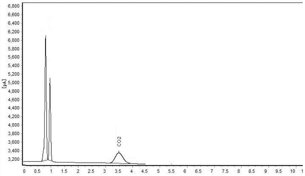 Application of silica-gel chromatographic column to detection of high-purity gas via gas chromatography