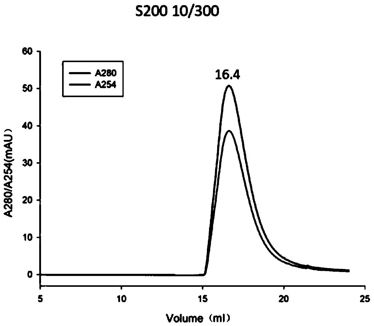 Preparation method of HBx protein derived from Hepatitis B Virus HBV