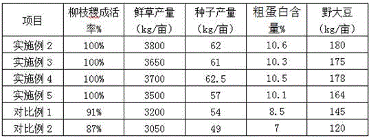 Panicum virgatum and wild soybean mixed seeding technology for saline-alkali soil