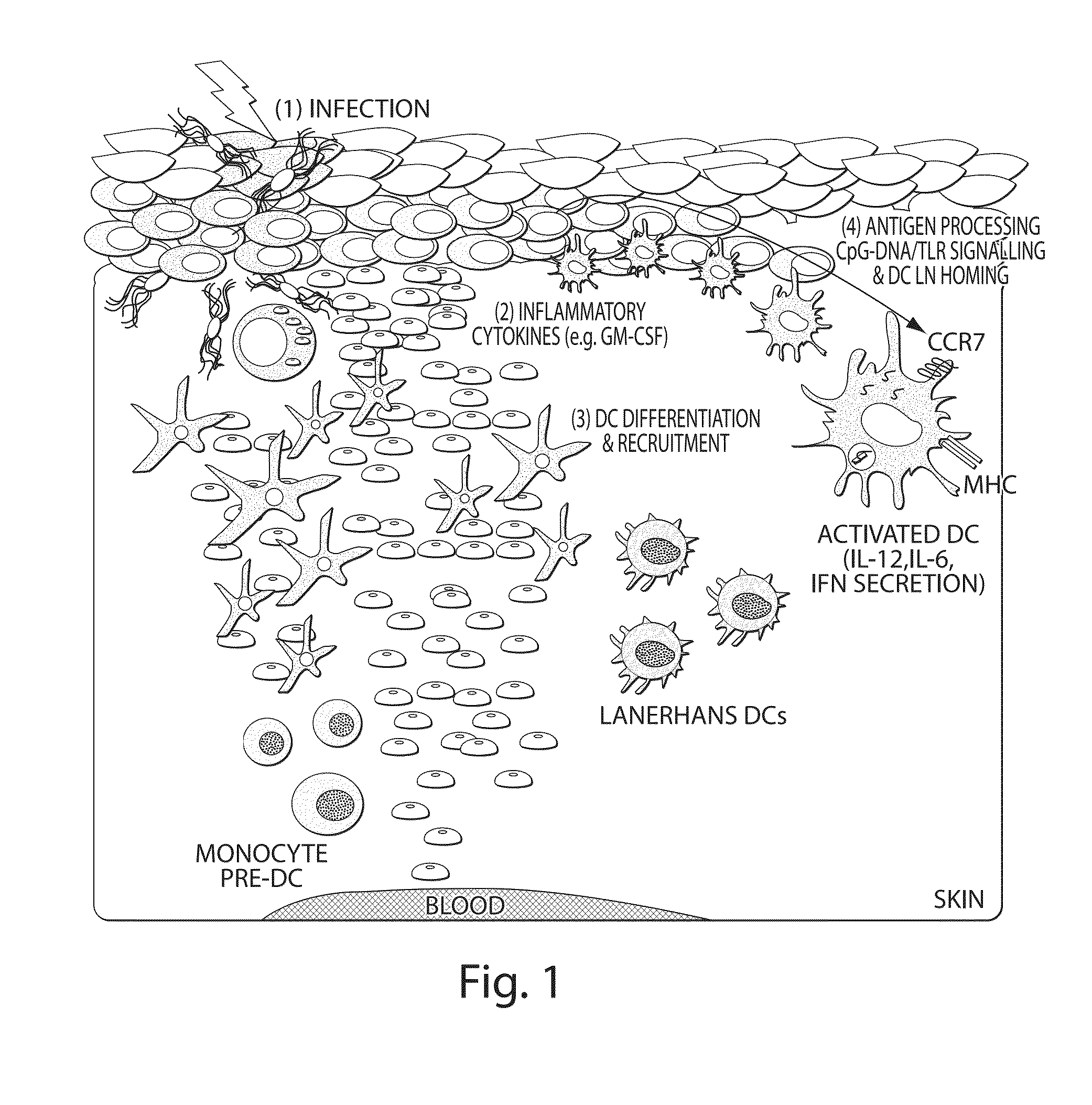 Continuous cell programming devices