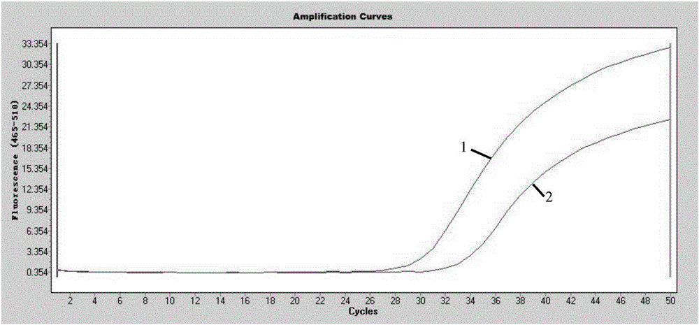 Gene methylation detection method, detection kit and application thereof